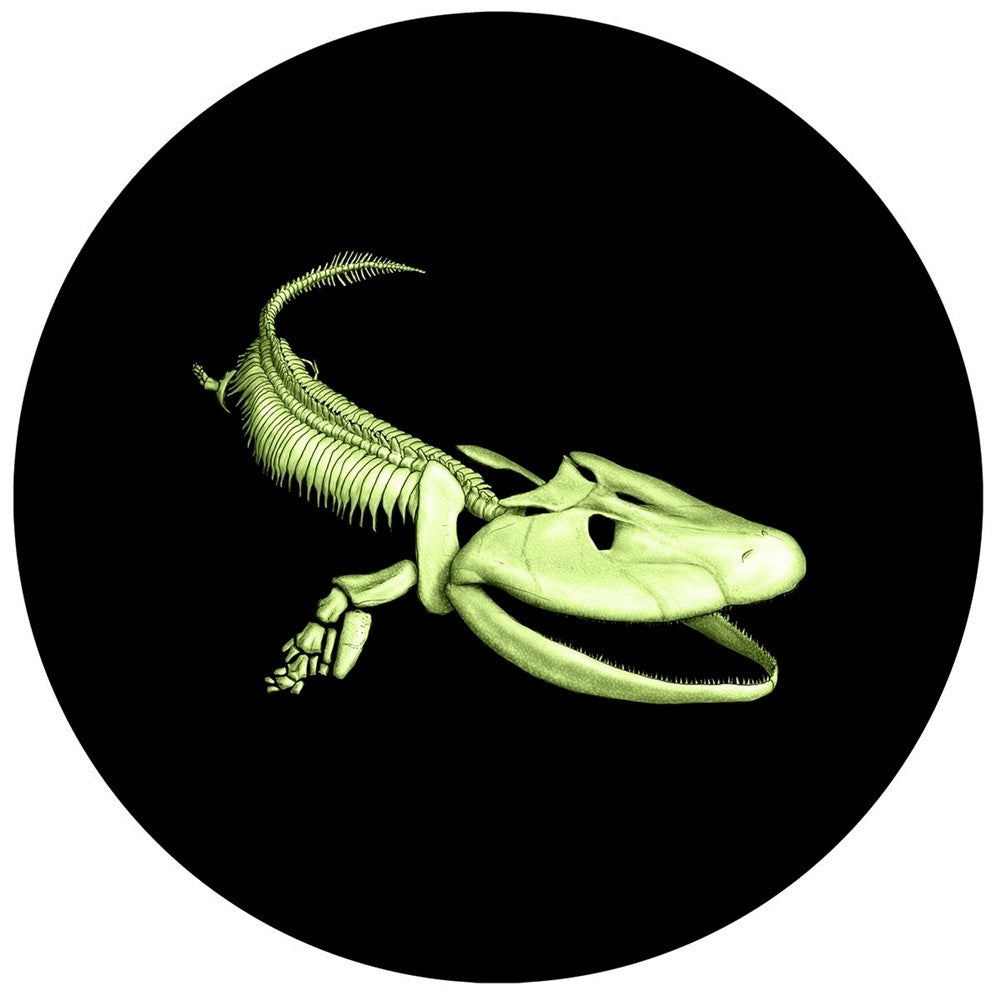2014 Canada 25-cent Prehistoric Creatures - Tiktaalik Glow In The Dark