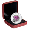 2014 $5 Flowers in Canada - Poinsettia Silver & Niobium Coin (No Tax)