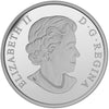 2015 $10 Ducks of Canada - Cinnamon Teal Duck Fine Silver (No Tax)