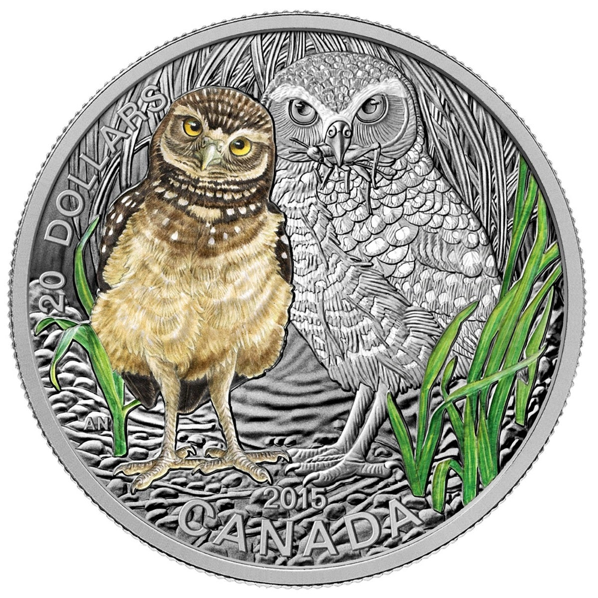 2015 Canada $20 Baby Animals: Burrowing Owl Fine Silver (No Tax)