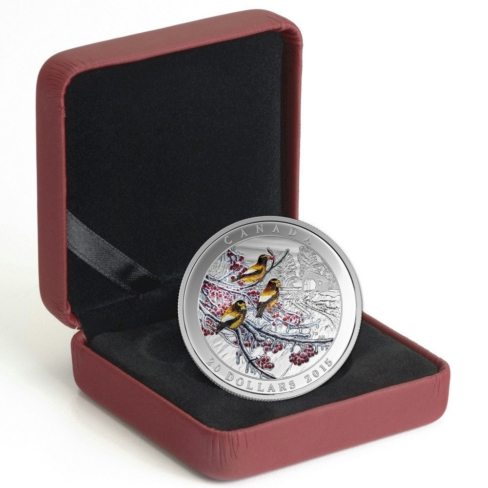 2015 Canada $20 Weather Phenomenon - Winter Freeze Fine Silver (No Tax)