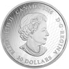 RDC 2016 Canada $30 Northern Lights In The Moonlight Fine Silver (No Tax) impaired