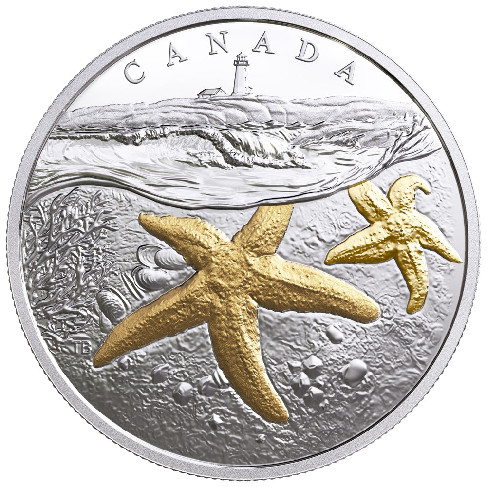 2017 Canada $20 From Sea to Sea - Atlantic Starfish Gold-Plated Silver (No Tax)