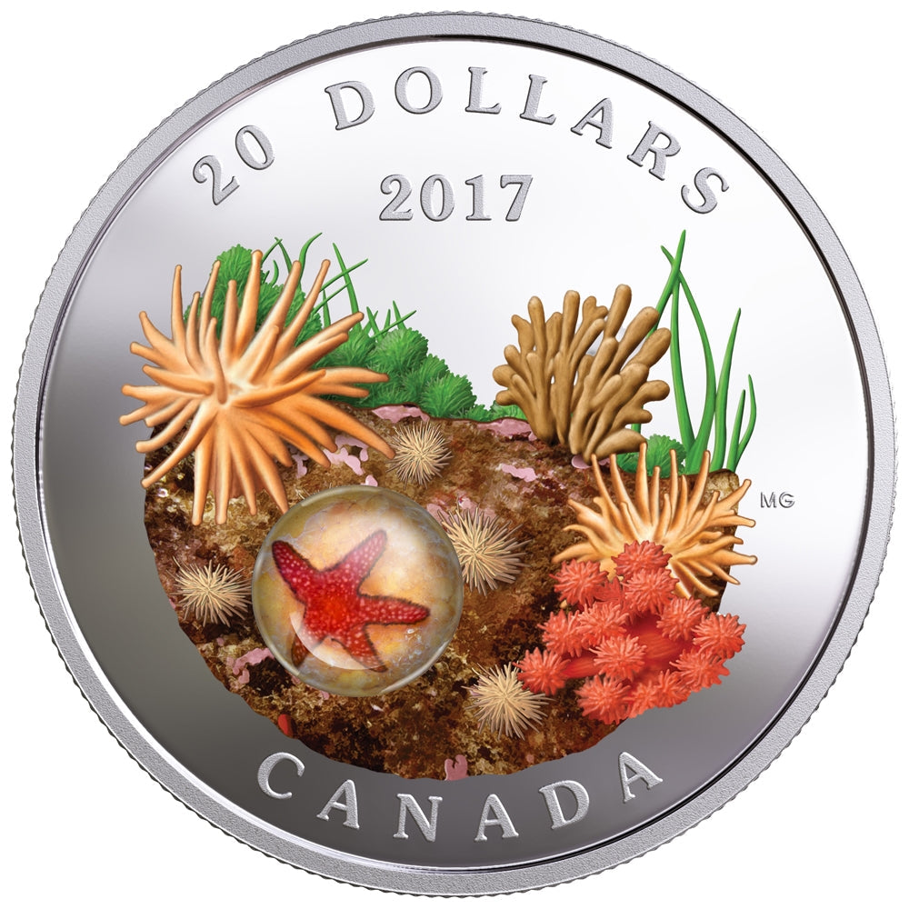 RDC 2017 Canada $20 Under the Sea - Sea Star Fine Silver (Issues)