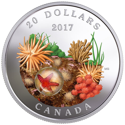 RDC 2017 Canada $20 Under the Sea - Sea Star Fine Silver (Issues)