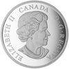 2017 Canada $20 Brilliant Birch Leaves with Drusy Stone
