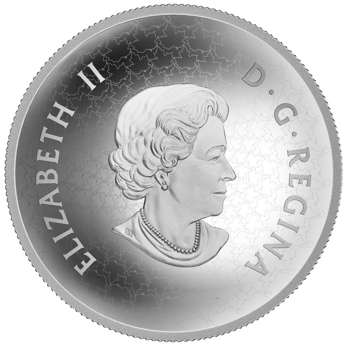 2017 Canada $50 Maple Leaves in Motion 5oz. Fine Silver (No Tax)
