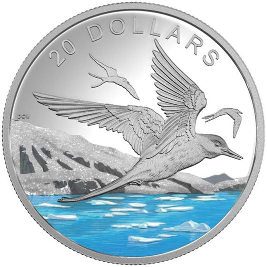2017 Canada $20 Glistening North - Arctic Tern Fine Silver (No Tax)
