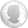 2018 $30 Canadian Canopy - The Maple Leaf Fine Silver Coin (No Tax)