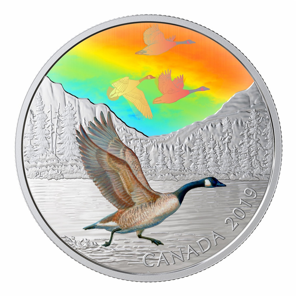 2019 Canada $30 Majestic Birds in Motion - Canada Geese Fine Silver (No Tax)