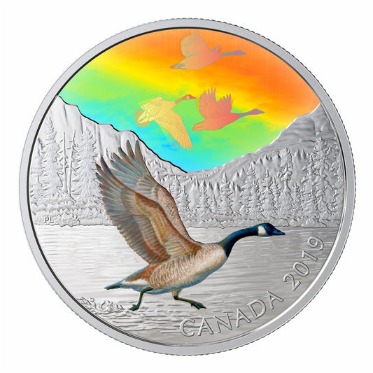 2019 Canada $30 Majestic Birds in Motion - Canada Geese Fine Silver (No Tax)