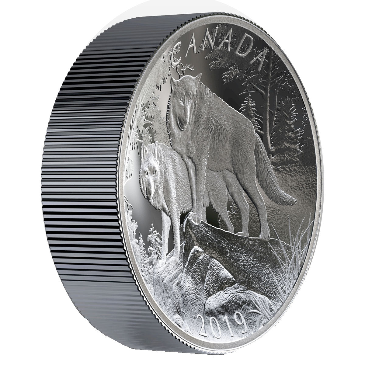 2019 Canada $100 Double Concave Coin Nature's Grandeur: Wolves Fine Silver (No Tax)