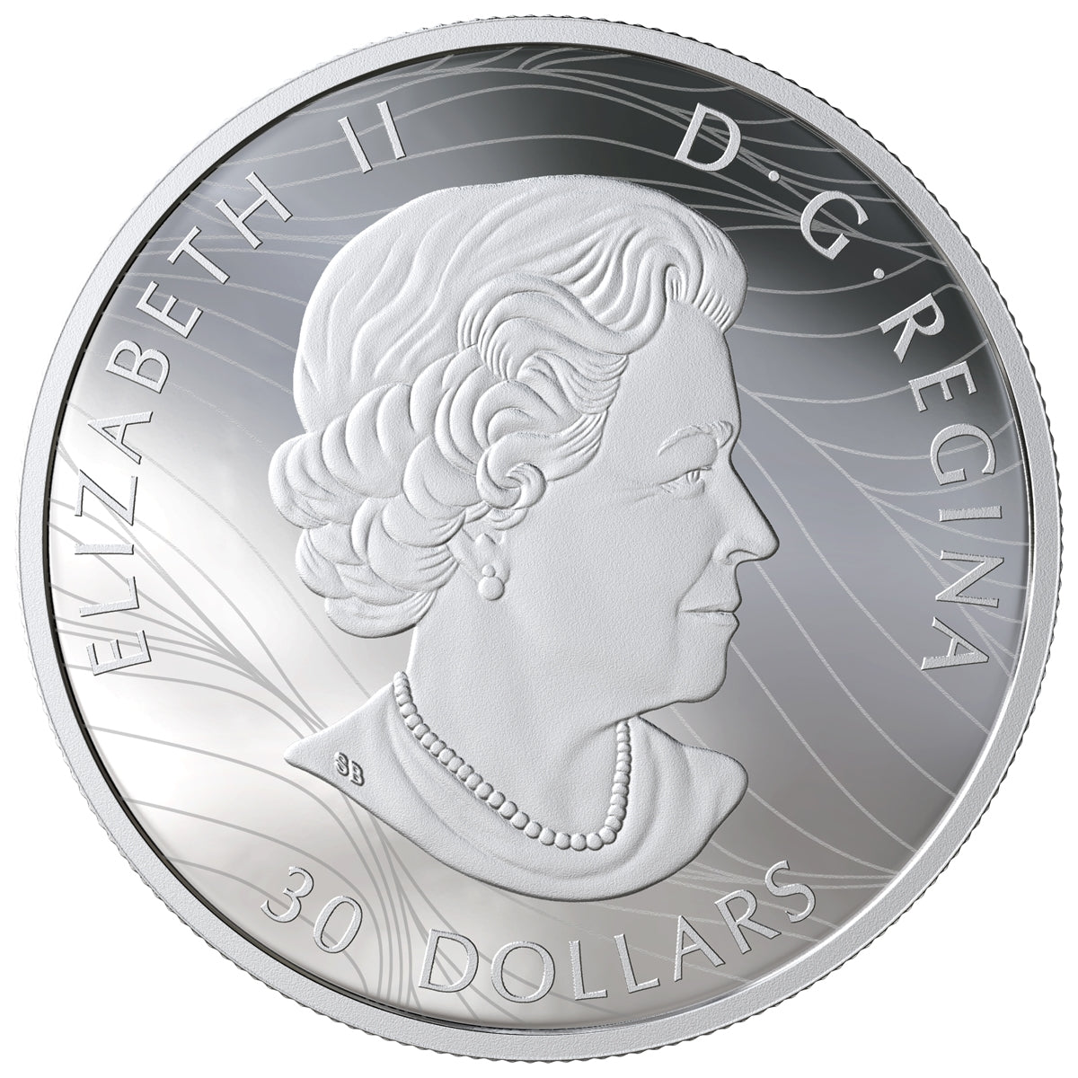 2019 $30 Canadian Canopy: The Canada Goose Fine Silver Coin (Tax Exempt)