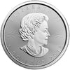 2018 The Royal Canadian Mint State of the Art Set