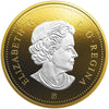 2019 Canada 50-cent Big Coin Reverse Gold Plated 5oz. Fine Silver (No Tax)