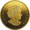 2019 Canada $100 Into the Light - Lion Fine Silver (No Tax)