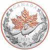 2020 The Canadian Maple Masters Collection Fine Silver 5-coin Set (TAX Exempt)