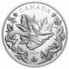 2020 The Canadian Maple Masters Collection Fine Silver 5-coin Set (TAX Exempt)