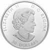 2020 The Canadian Maple Masters Collection Fine Silver 5-coin Set (TAX Exempt)