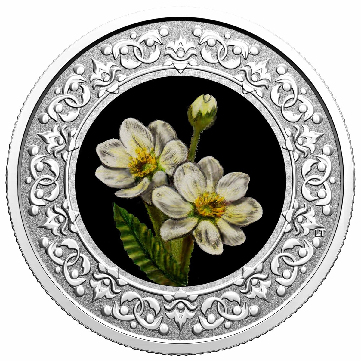 2020-2021 $3 Floral Emblems of Canada Complete 13-coin Set (No Tax)