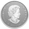 2021 Canada Our Arboreal Emblem: The Maple Tree Fine Silver Fractional Set (No Tax)