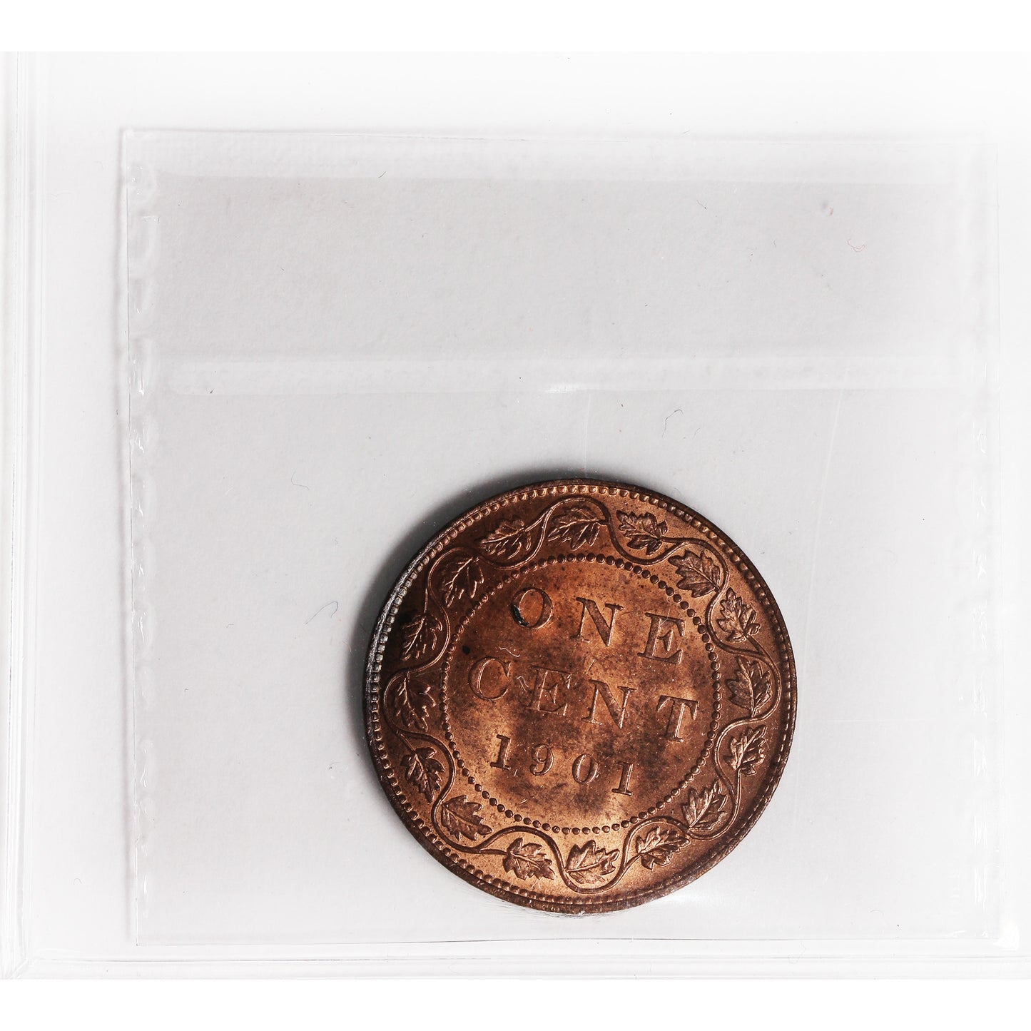 1901 Canada 1-cent ICCS Certified MS64 Red (XAM 236)