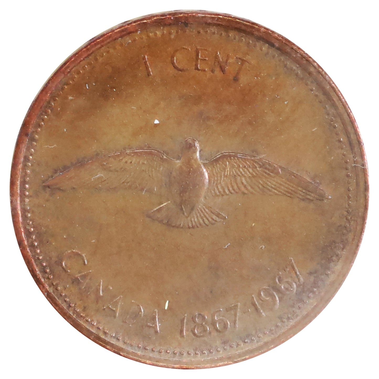 1967 Double 1967 Canada 1-cent ICCS Certified MS60 Brown