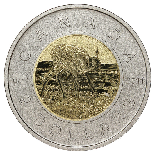 2011 Elk Canada Two Dollar Specimen $