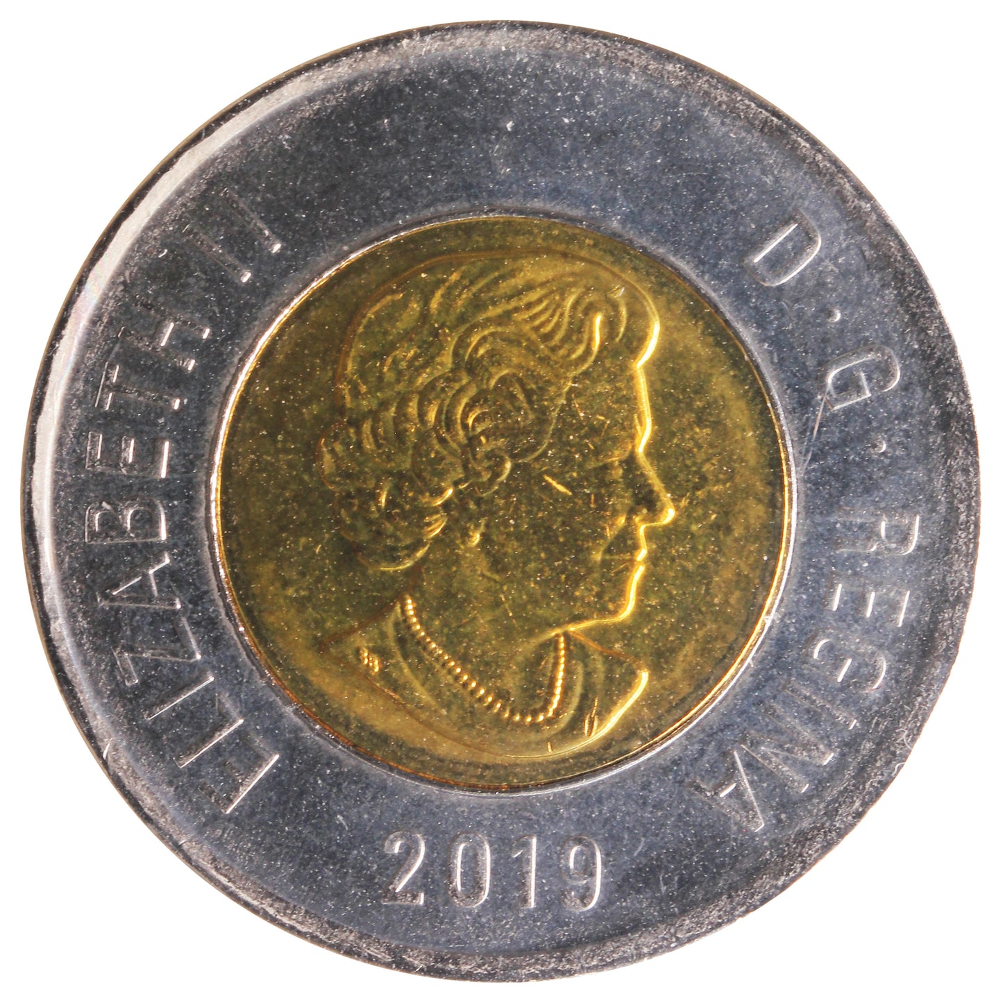 2019 14 Serrations Polar Bear Canada Two Dollar ICCS Certified MS65