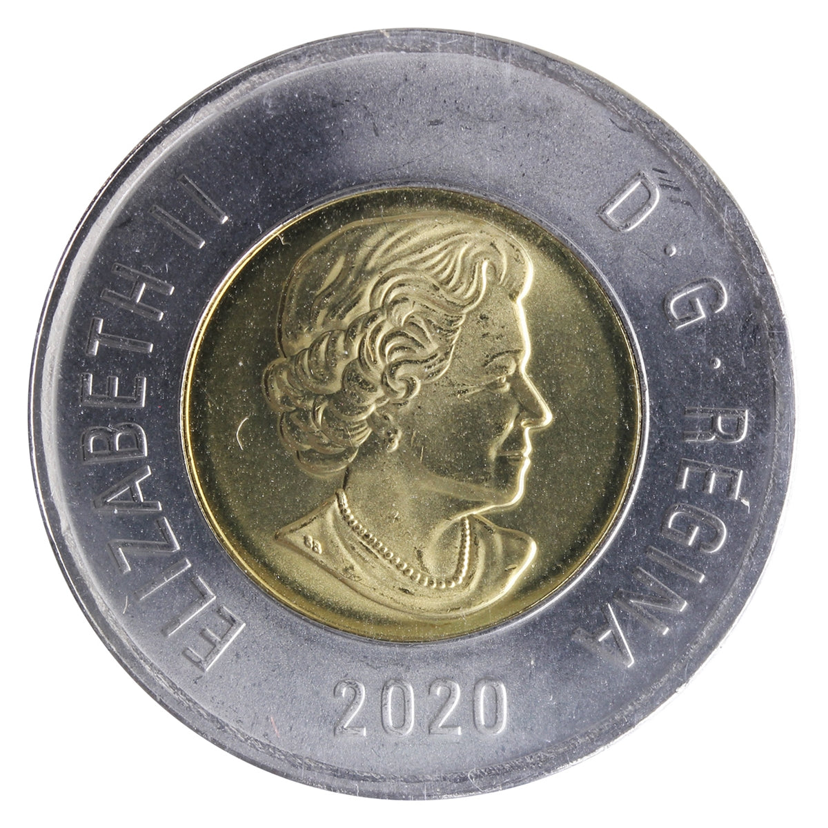 2020 Polar Bear Canada Two Dollars ICCS Certified MS64