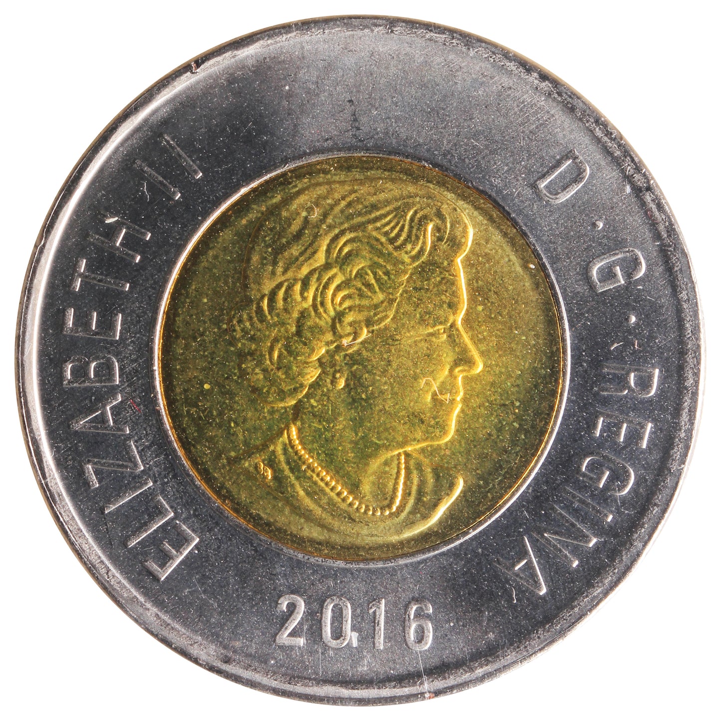 2016 Polar Bear Canada Two Dollar ICCS Certified MS66