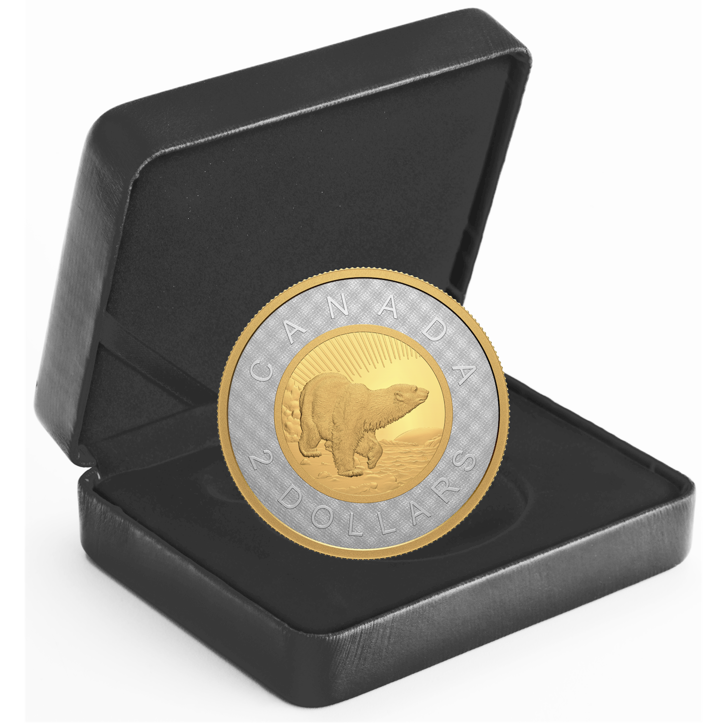 2022 Canada $2 Renewed Silver Toonie: Path of Knowledge Fine Silver (No Tax)