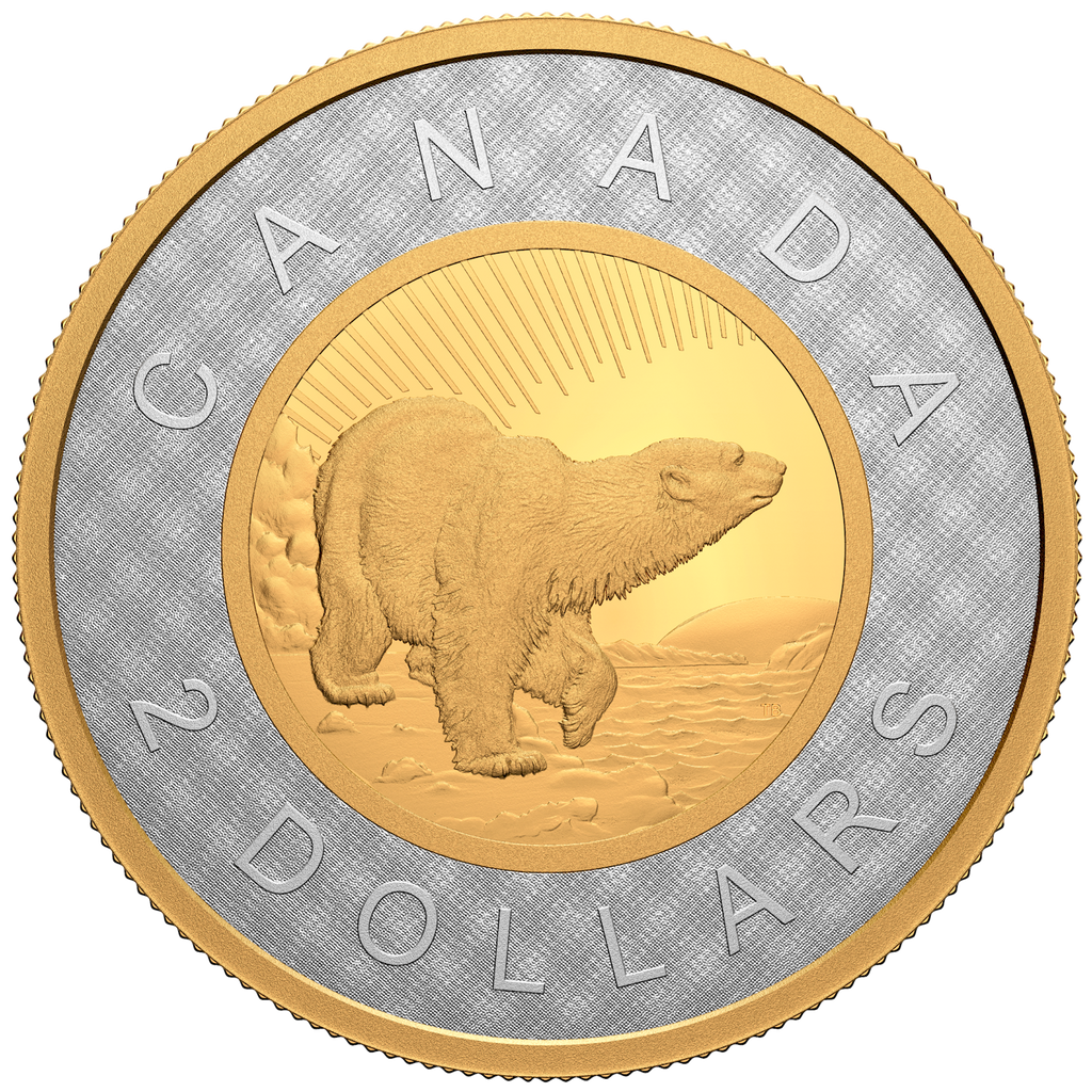 2022 Canada $2 Renewed Silver Toonie: Path of Knowledge Fine Silver (No Tax)