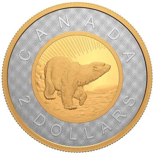 2022 Canada $2 Renewed Silver Toonie: Path of Knowledge Fine Silver (No Tax)