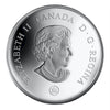 2007 Canada $30 Panoramic Camera: Niagara Falls Sterling Silver
