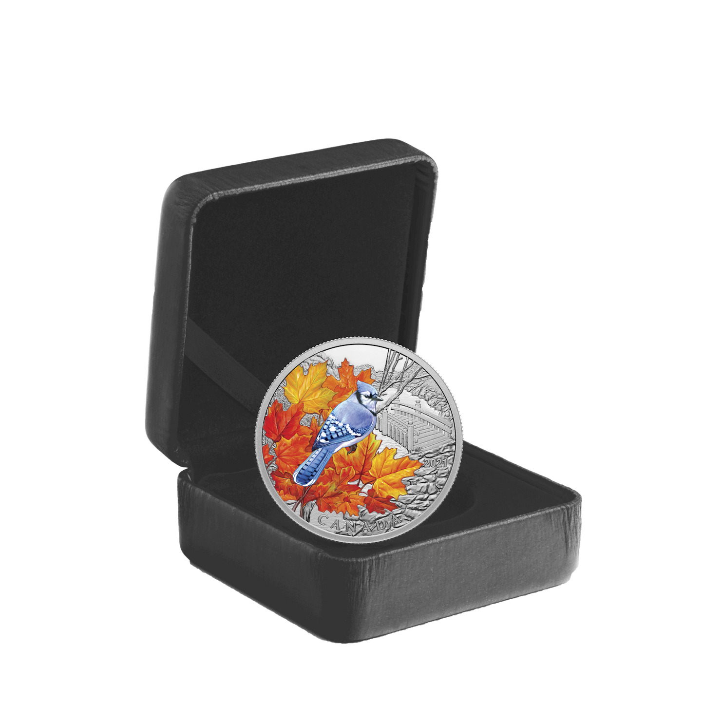2021 Canada $20 Colourful Birds - Blue Jay Fine Silver (No Tax)