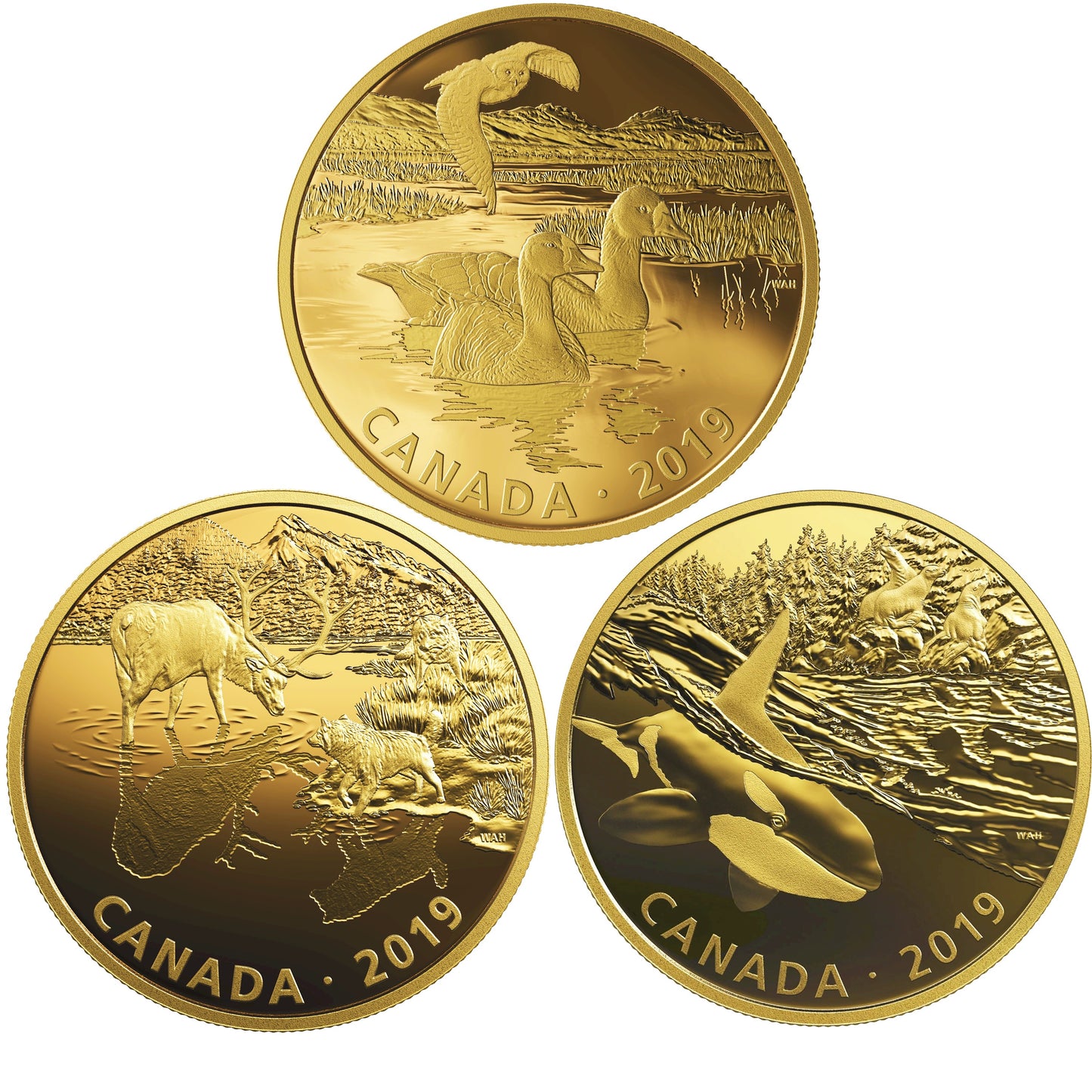 2019 Canada $30 Golden Reflections: Predator and Prey 3-coin Fine Silver Set (No Tax)