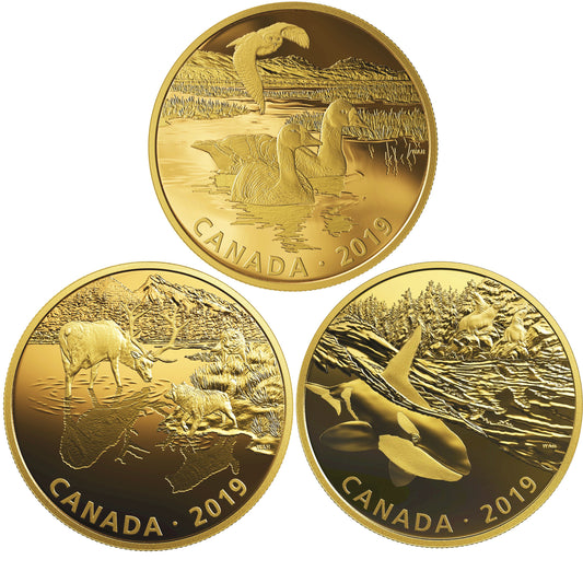 2019 Canada $30 Golden Reflections: Predator and Prey 3-coin Fine Silver Set (No Tax)
