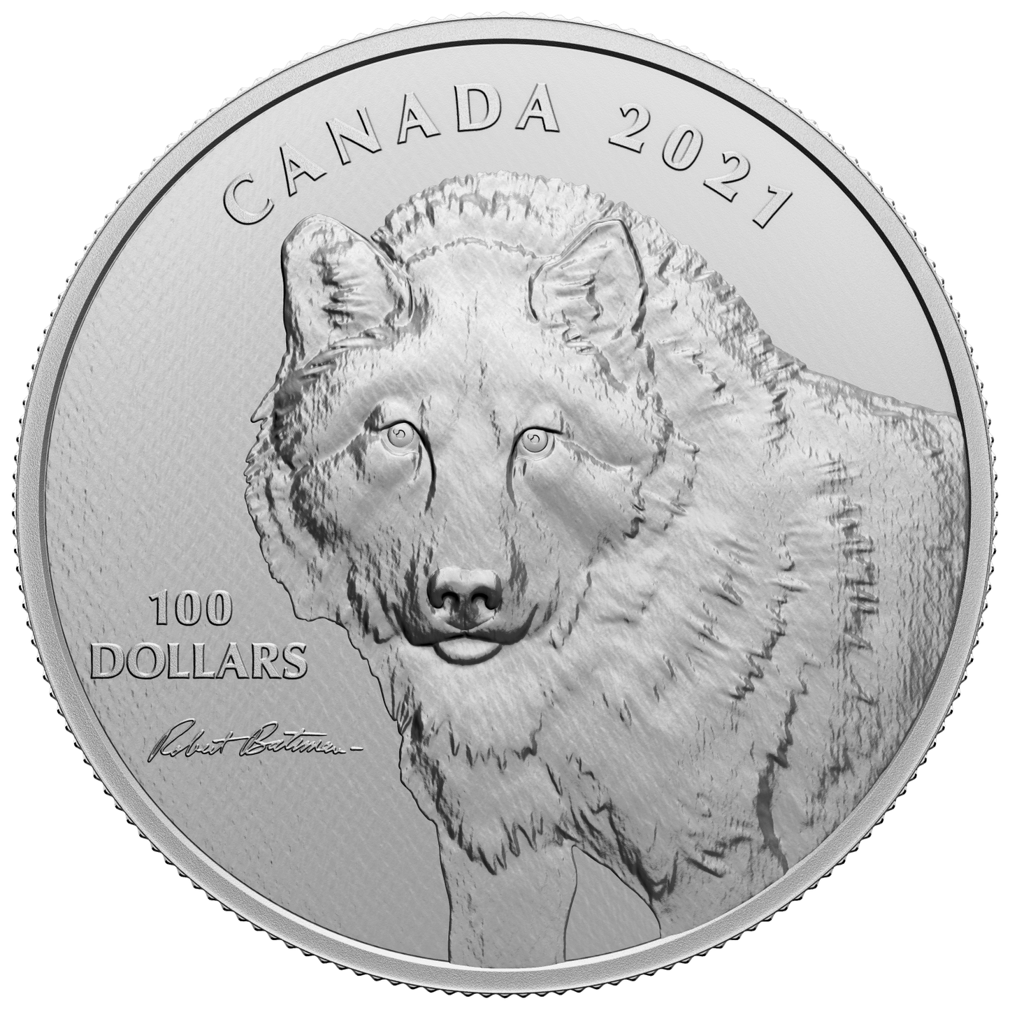 2021 Canada $100 Wolf Sketch by Robert Bateman 10oz. Fine Silver (No Tax)