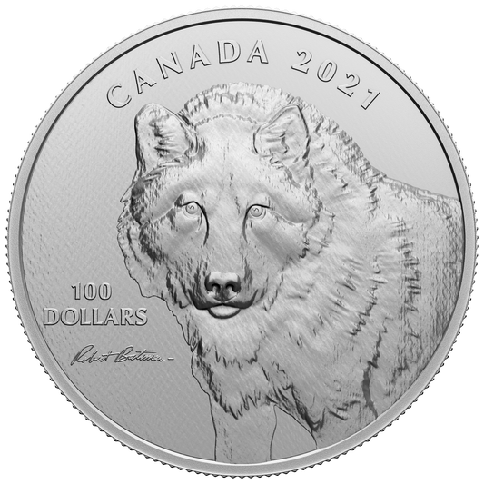 2021 Canada $100 Wolf Sketch by Robert Bateman 10oz. Fine Silver (No Tax)