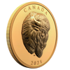2021 Canada $250 Bold Bison Extraordinarily High Relief Pure Gold Coin (No Tax)