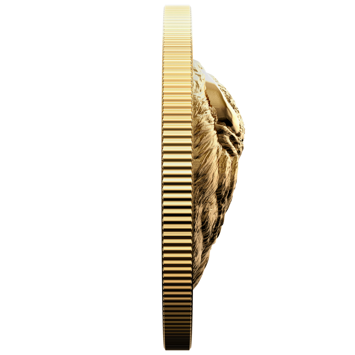 2021 Canada $250 Bold Bison Extraordinarily High Relief Pure Gold Coin (No Tax)