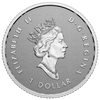 2022 Canada A Radiant Crown Fine Silver Fractional Set (No Tax)