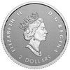 2022 Canada A Radiant Crown Fine Silver Fractional Set (No Tax)