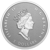 2022 Canada A Radiant Crown Fine Silver Fractional Set (No Tax)