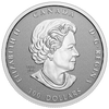 2022 Canada $300 Platinum Jubilee of Her Majesty Queen Elizabeth II Platinum (No Tax)