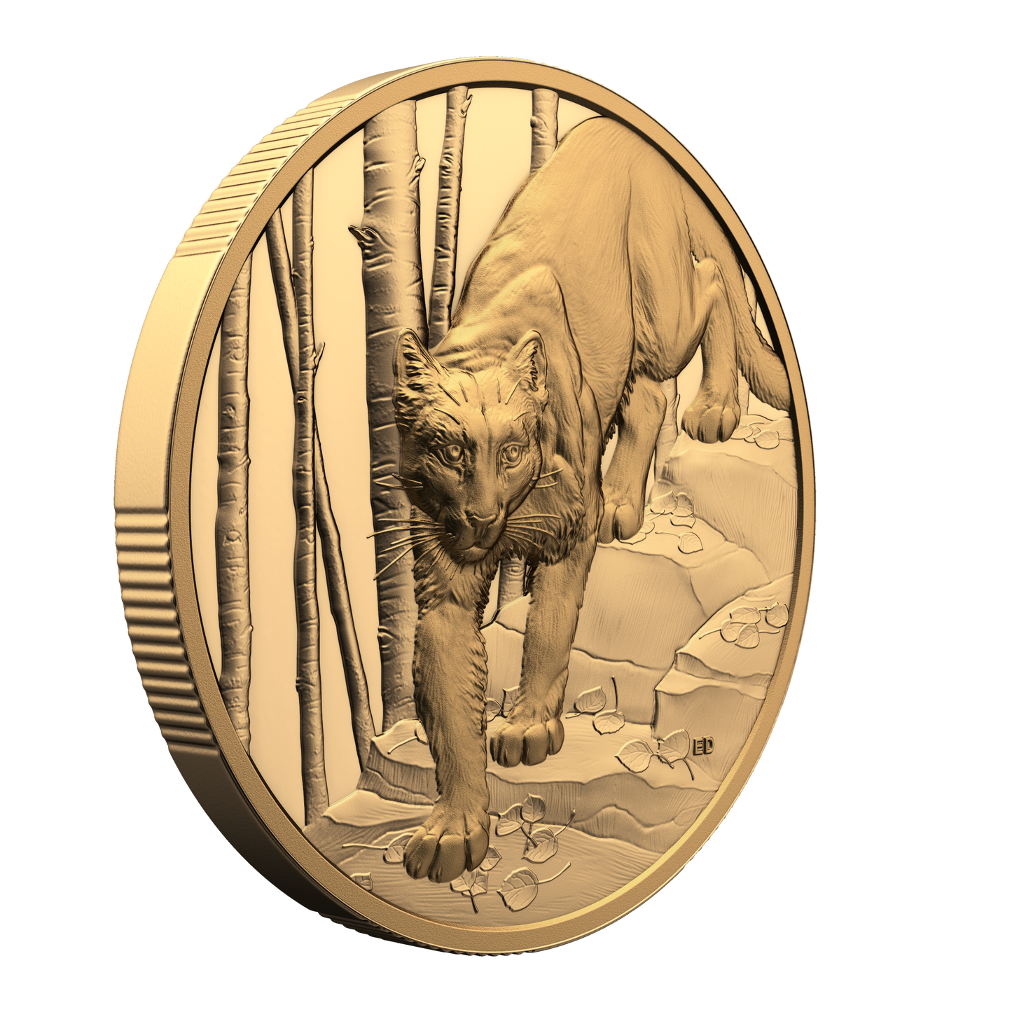 2024 Canada $200 Great Hunters: Cougar Ultra High Relief 1 oz. Pure Gold (No Tax)