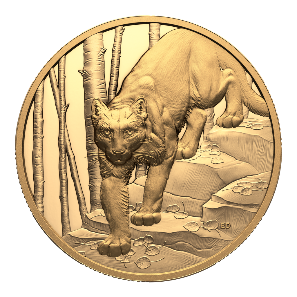 2024 Canada $200 Great Hunters: Cougar Ultra High Relief 1 oz. Pure Gold (No Tax)
