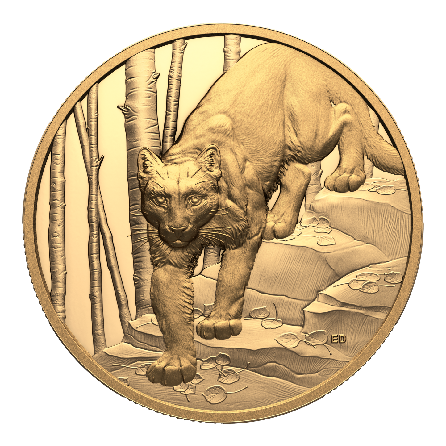 2024 Canada $200 Great Hunters: Cougar Ultra High Relief 1 oz. Pure Gold (No Tax)