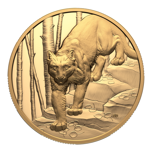 2024 Canada $200 Great Hunters: Cougar Ultra High Relief 1 oz. Pure Gold (No Tax)
